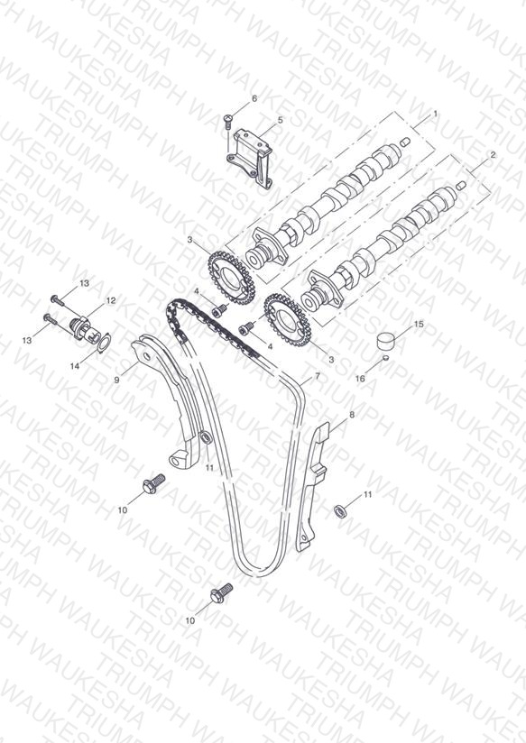 Camshaft & Camshaft Drive