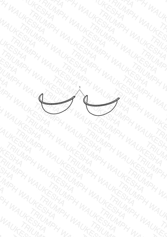 Auxiliary Lamp Visor Kit