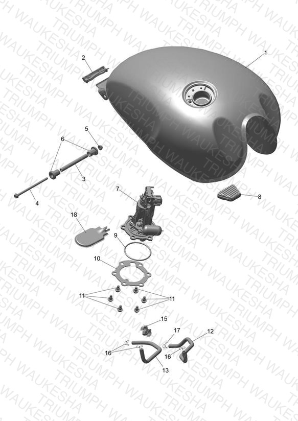 Fuel Tank & Pump