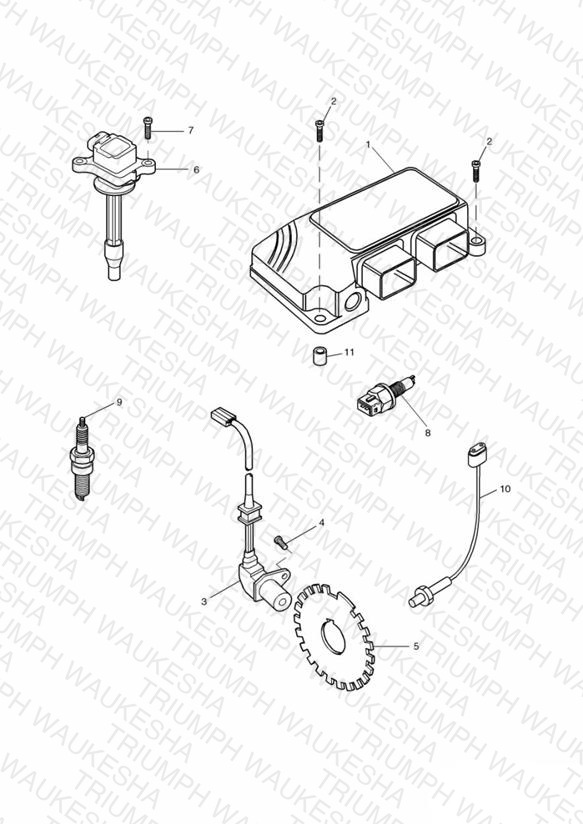 Engine Management System