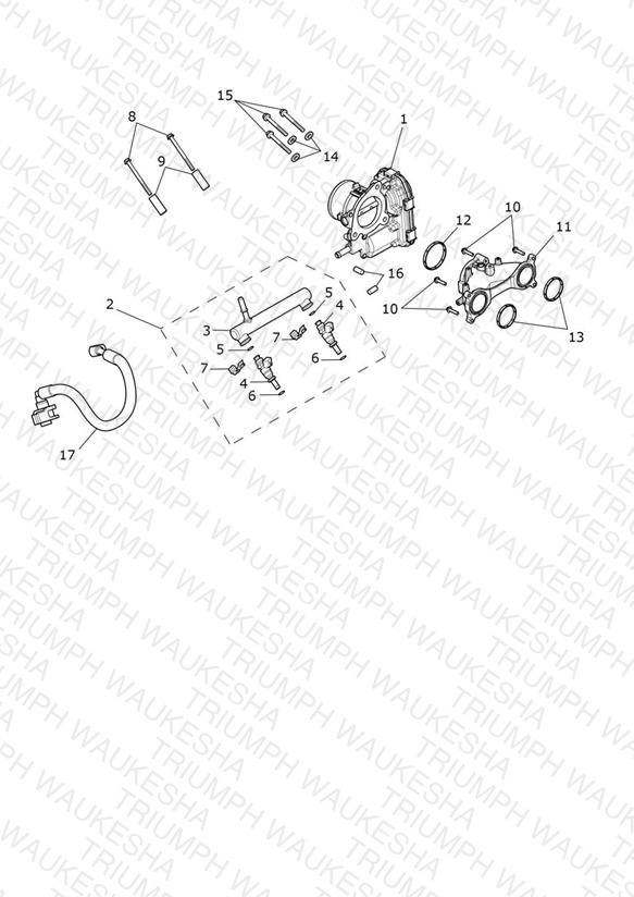 Throttle Bodies
