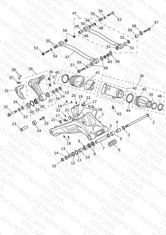 Swinging Arm Assembly