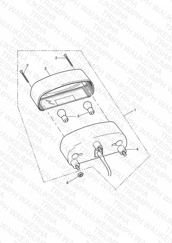 Rear Lamps