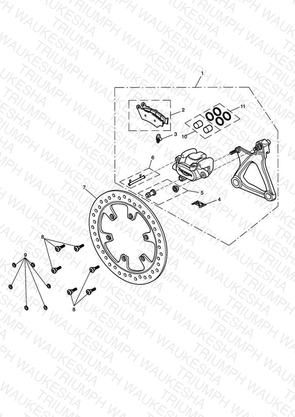 Rear Brake Caliper & Disc