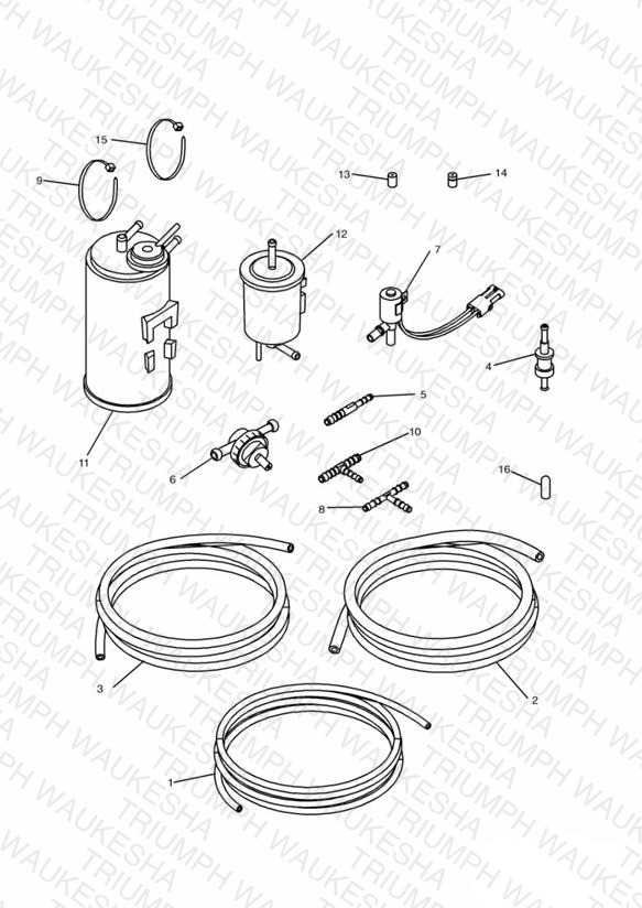 Evaporative Loss Equipment 3 Cyl (US California Models Only) » 161320