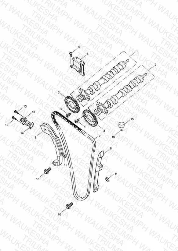 Camshaft and Drive