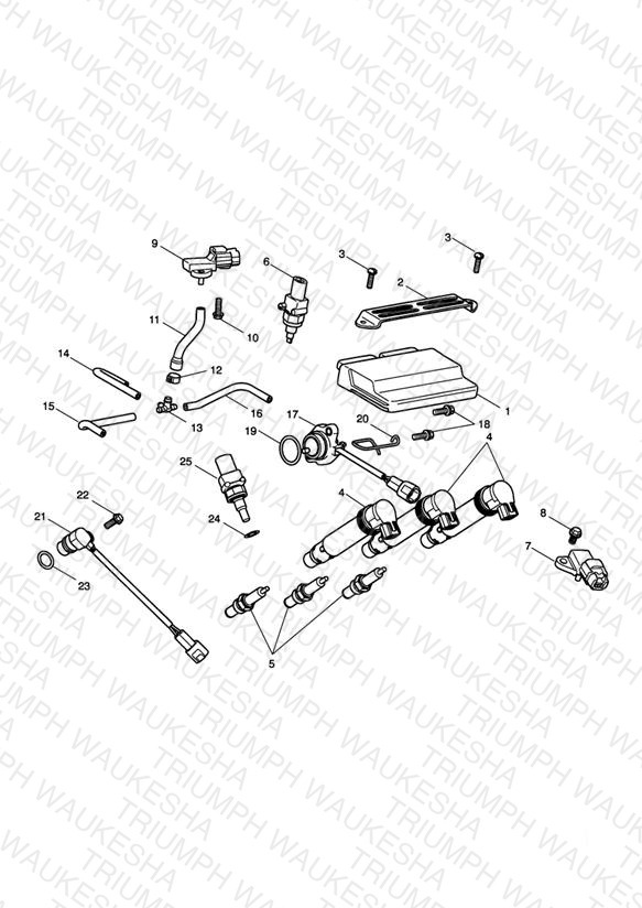 Engine Management System