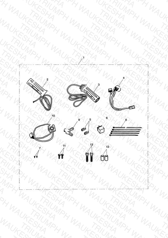 Heated Grip Kit