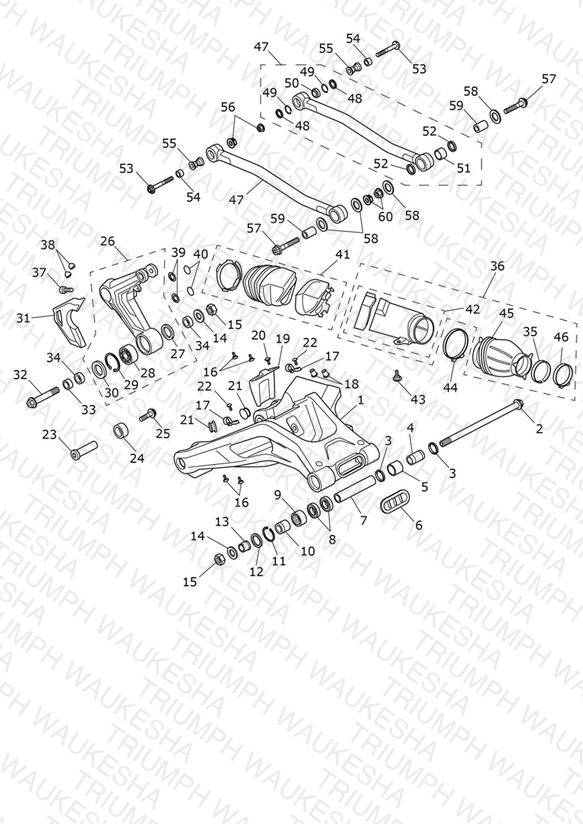 Swinging Arm Assembly