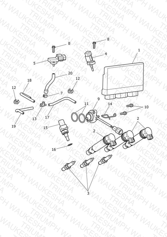 Engine Management System