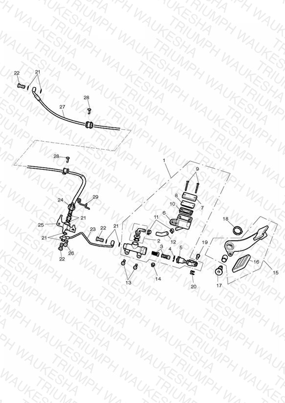 Rear Brake Master Cylinder, Reservoir & Pedal