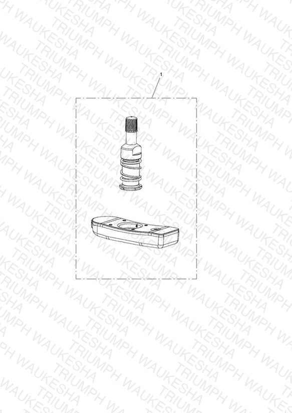 TPMS, ROW
