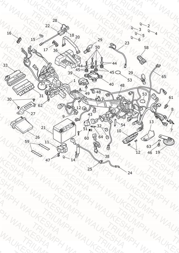 Electrical System