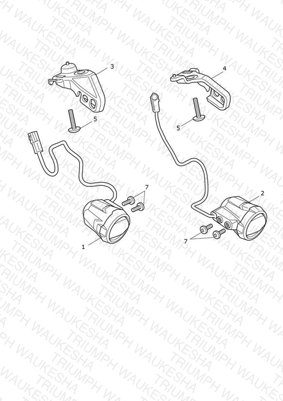 Fog Lamps