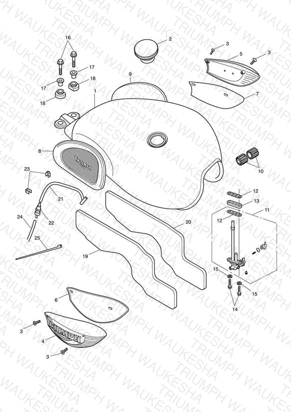 Fuel Tank & Fittings Bonneville T100 >317246