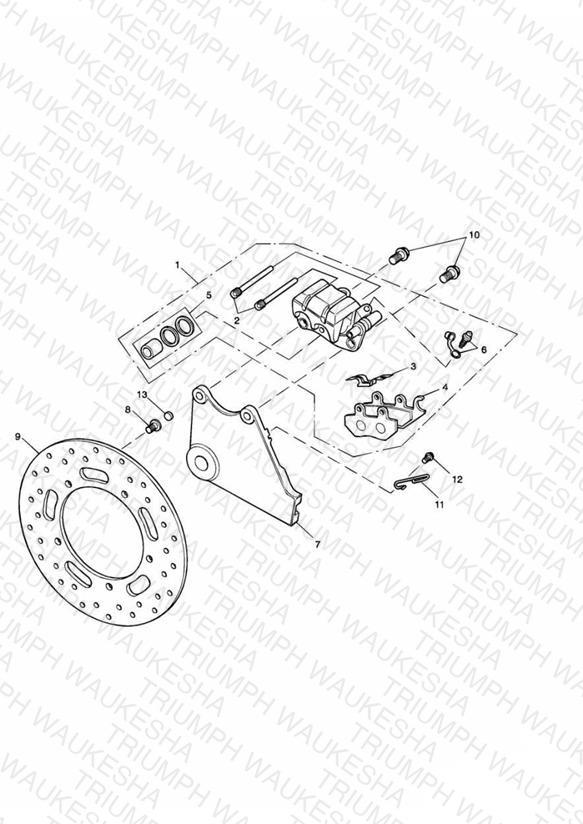 Rear Brake Disc and Caliper