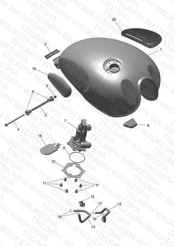 Fuel Tank & Pump