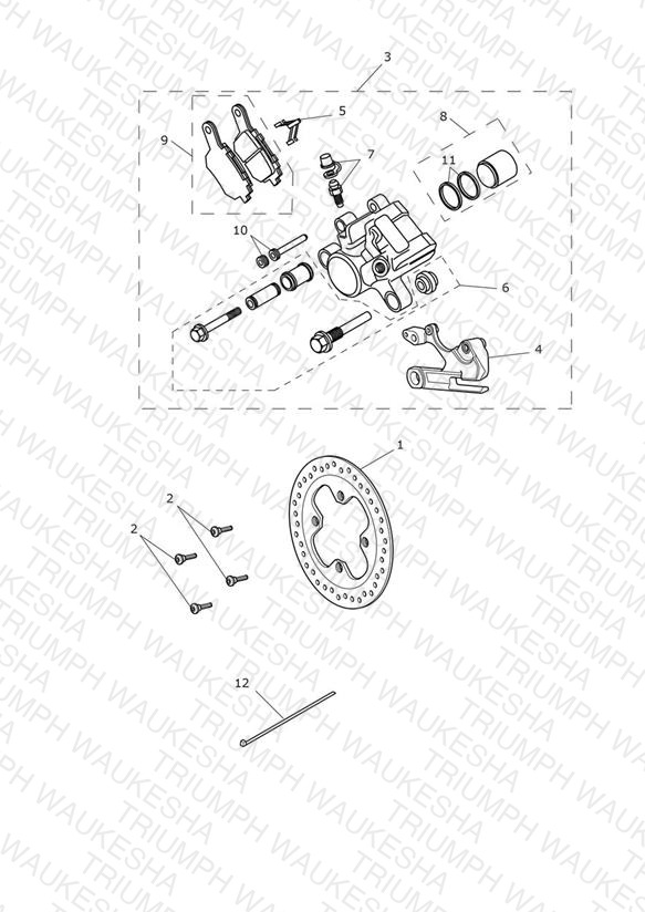 Rear Brake & Disc
