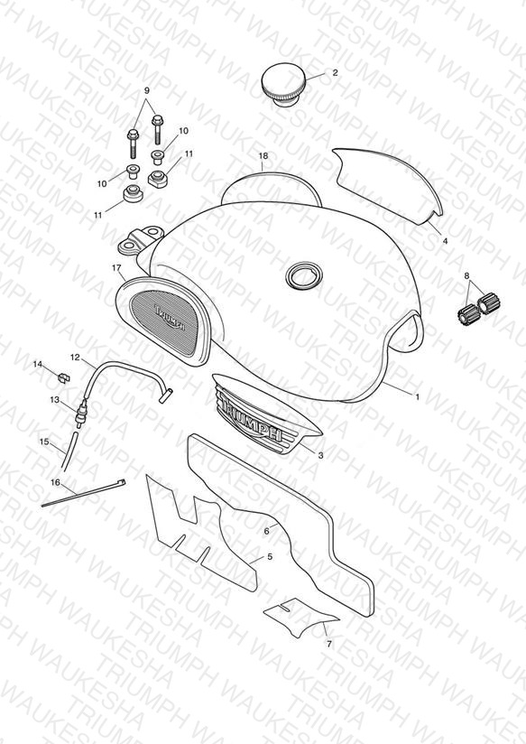 Fuel Tank & Fittings