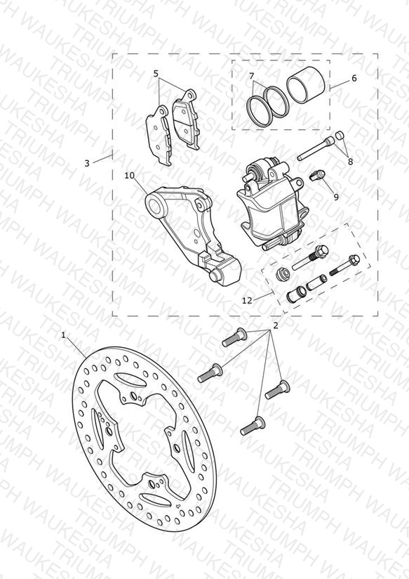 Rear Brake Caliper & Disc