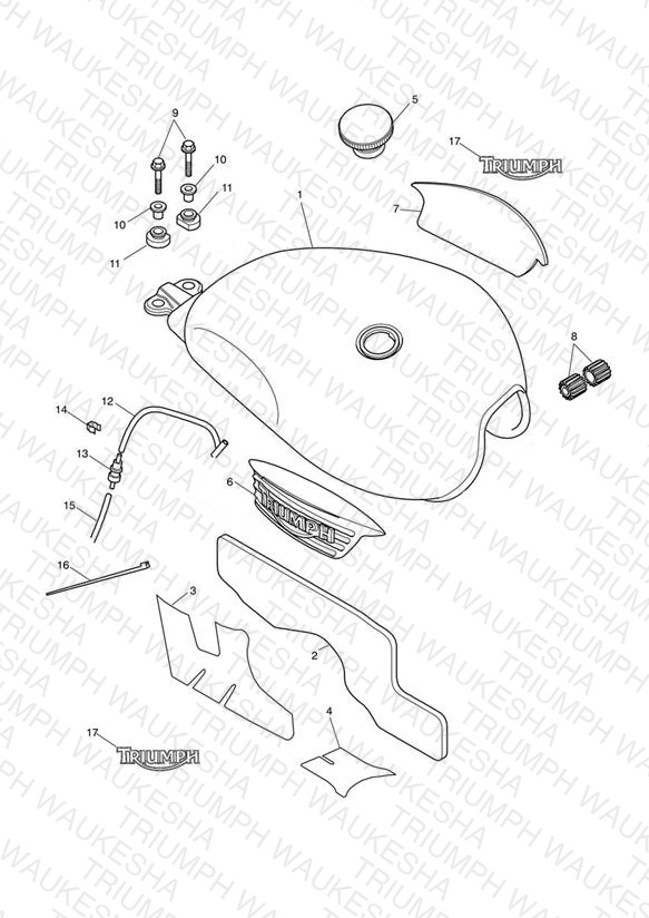 Fuel Tank & Fittings