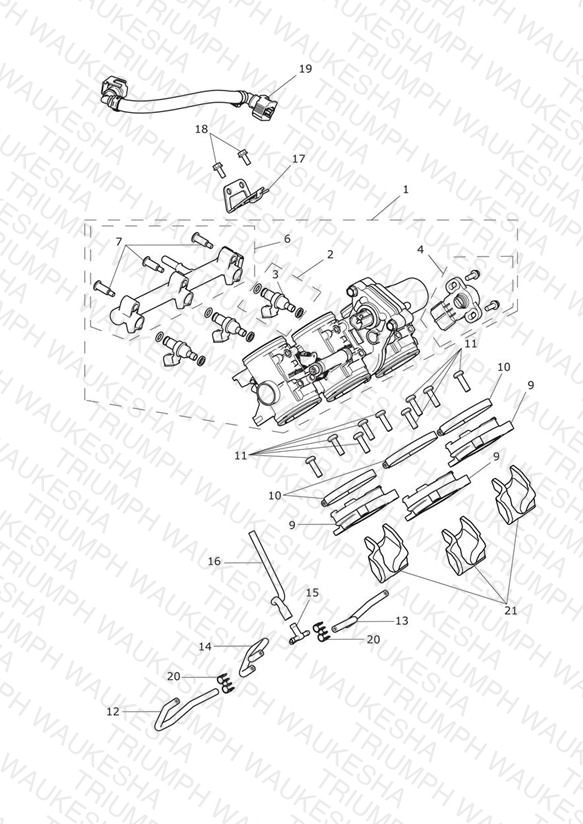 Throttles, Injectors and Fuel Rail