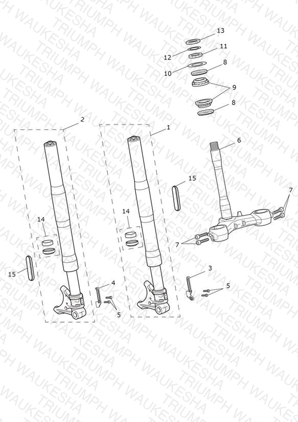 Front Forks & Lower Yoke