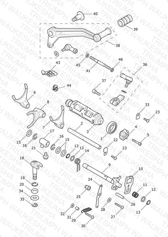 Gear Selectors & Pedal