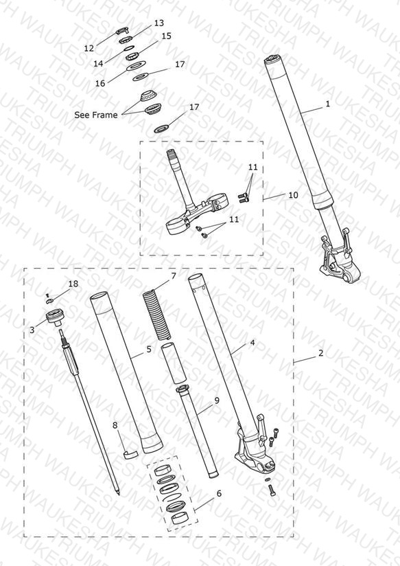 Front Forks & Lower Yoke Assy