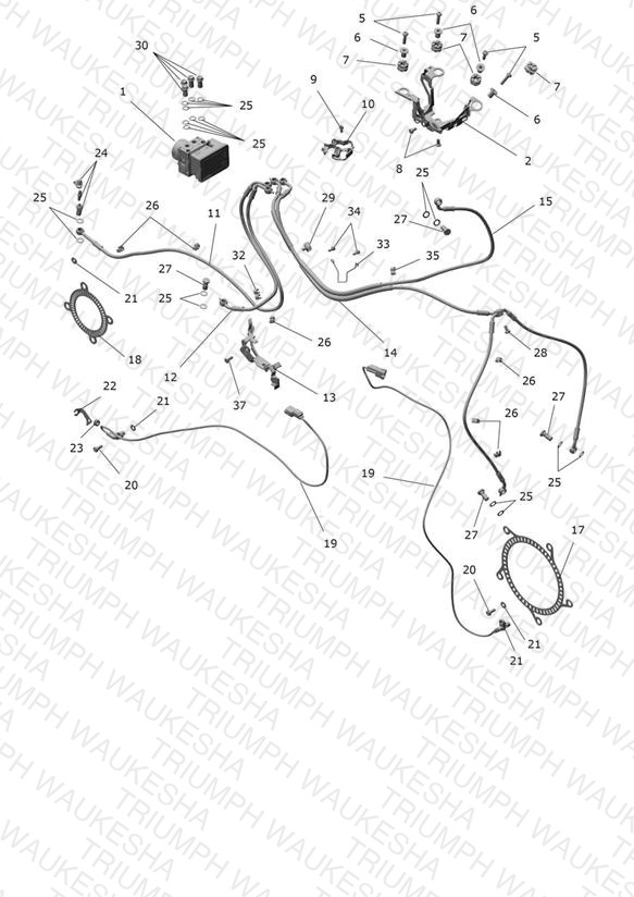 ABS System