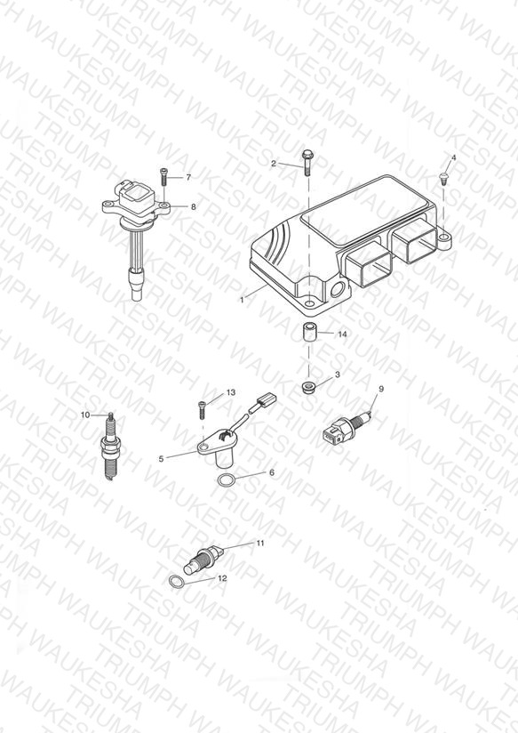 Engine Management System