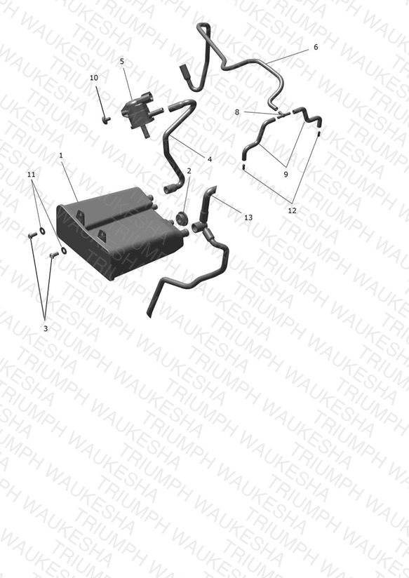 Evap System