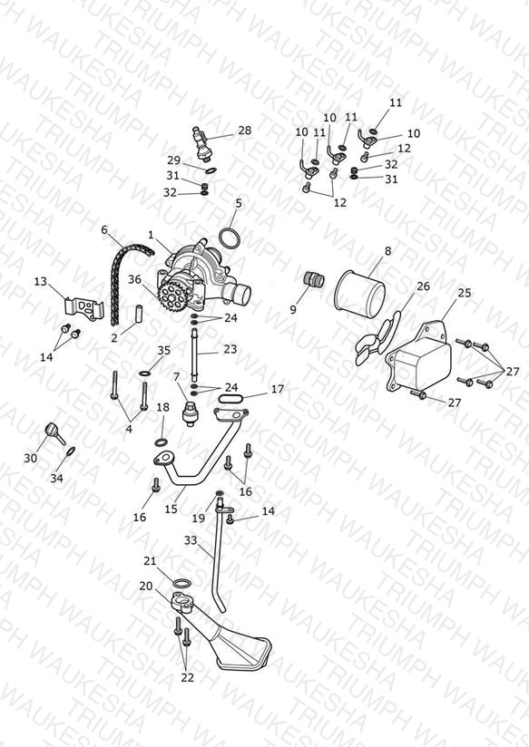 Oil Pump Drive