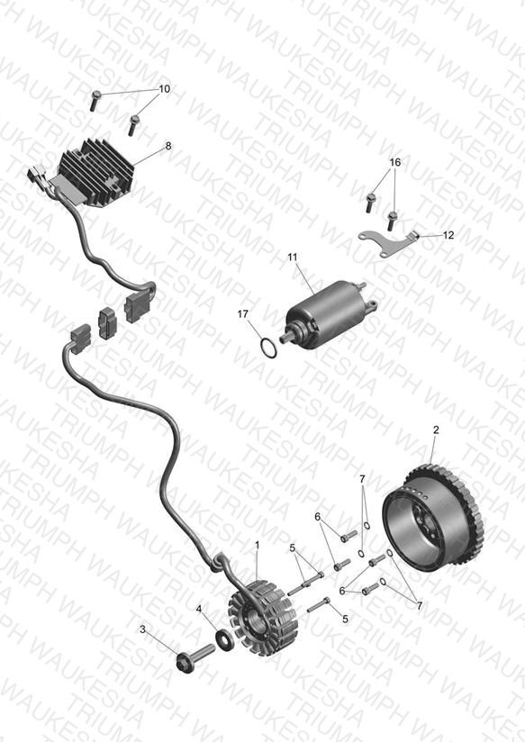 Alternator & Starter