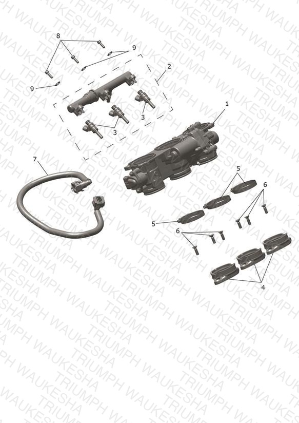 Throttles, Injectors and Fuel Rail
