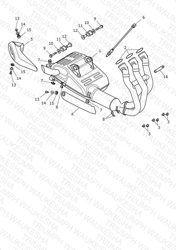 Exhaust System