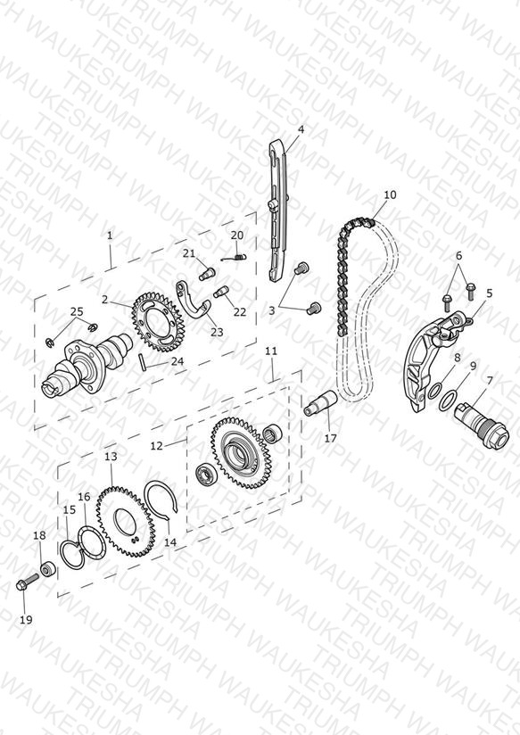Camshaft & Camshaft Drive