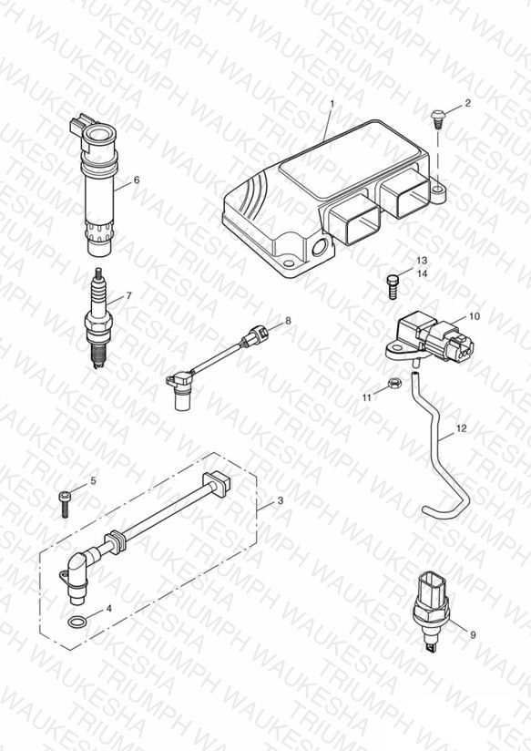 Engine Management System