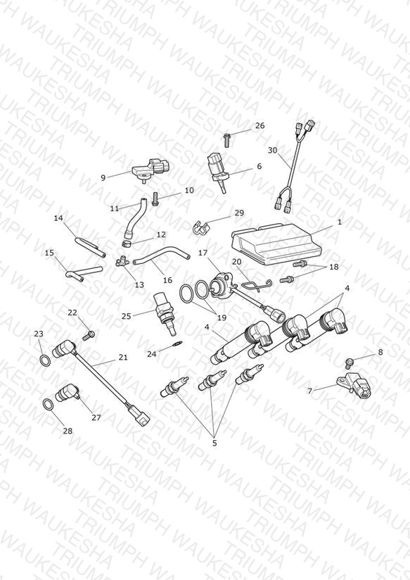 Engine Management System