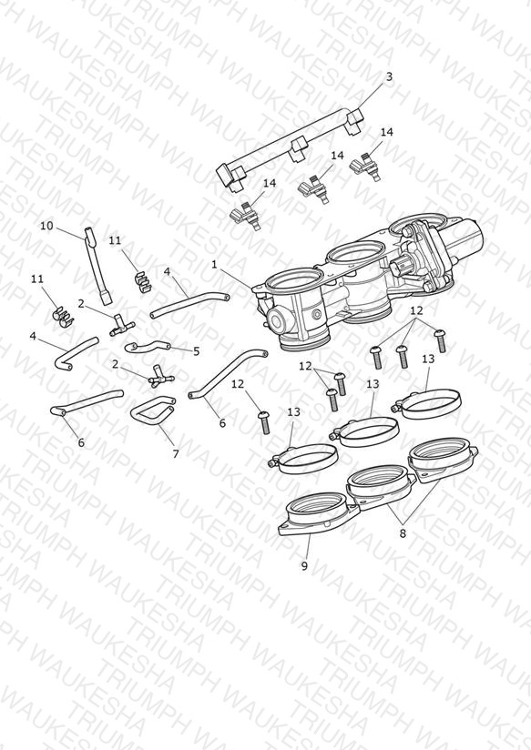 Throttles, Injectors & Fuel Rails
