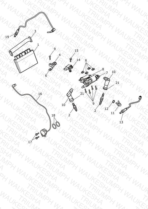 Engine Management System