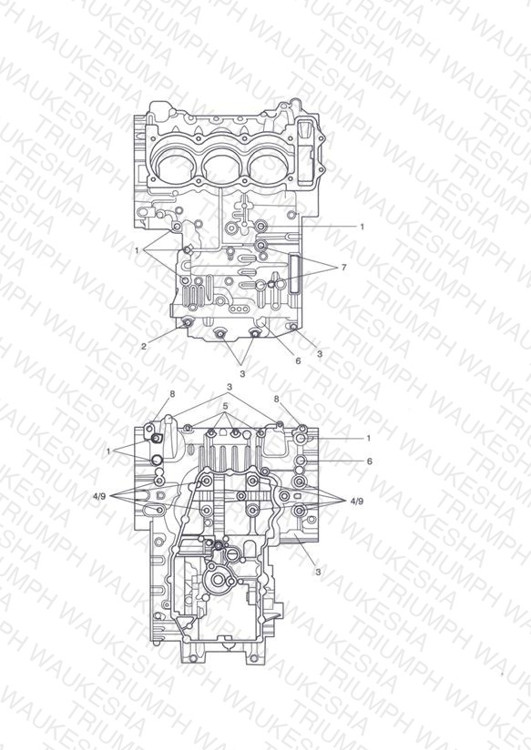 Crankcase Bolts