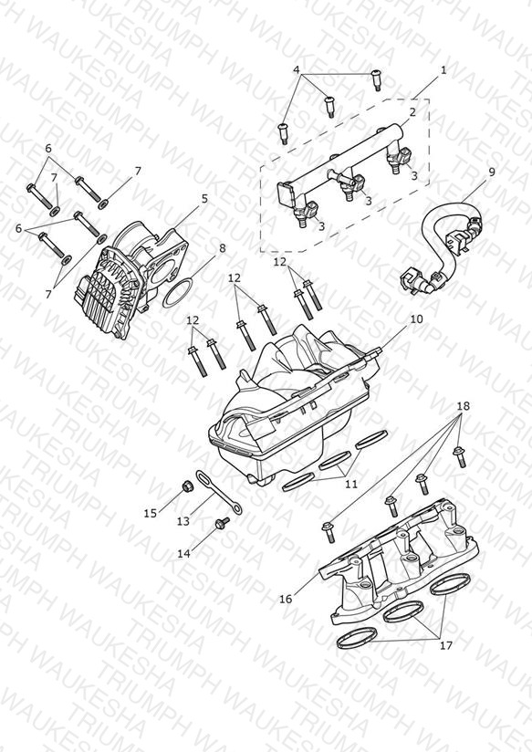 Throttle Bodies
