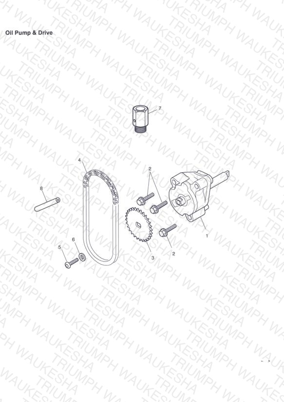 Oil Pump & Drive
