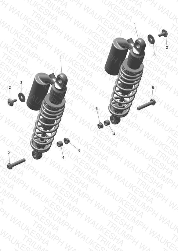 Rear Suspension Unit