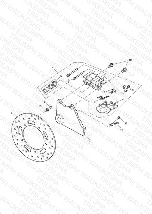 Rear Brake Caliper & Disc