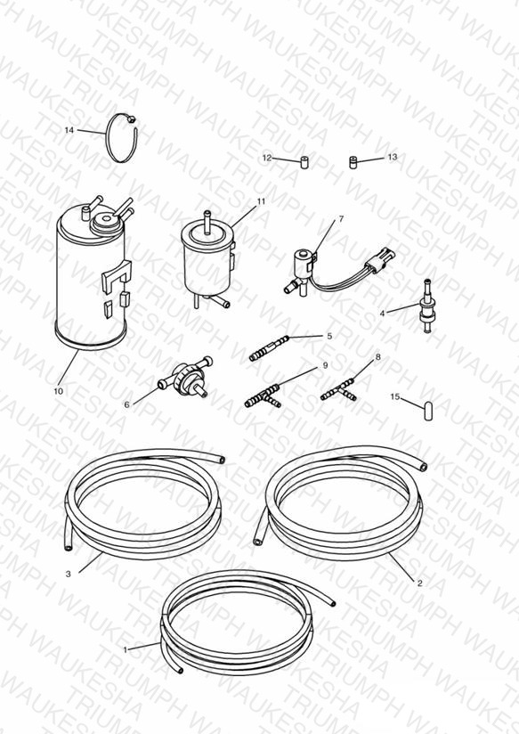 Evaporative Loss Equipment 3 Cyl (US California Models Only)