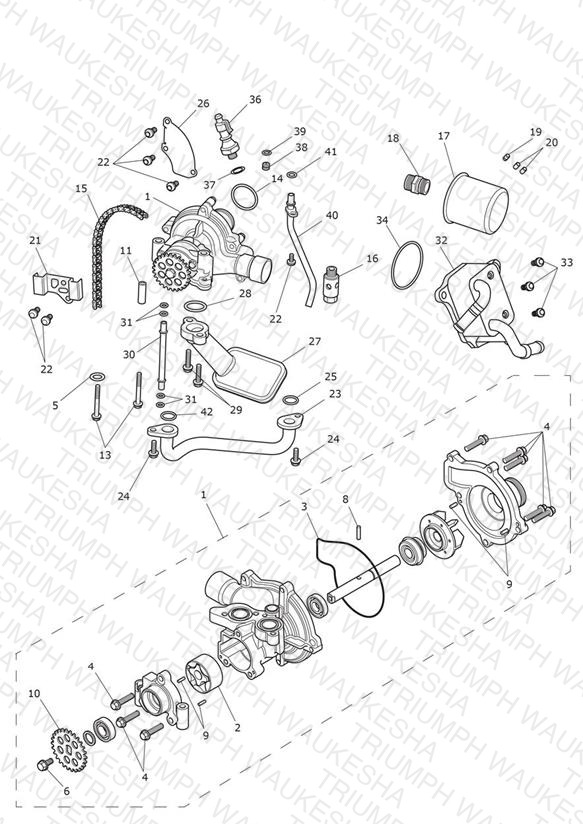 Oil Pump Drive