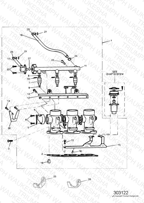 Throttles/Injectors and Fuel Rail