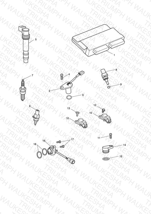 Engine Management System